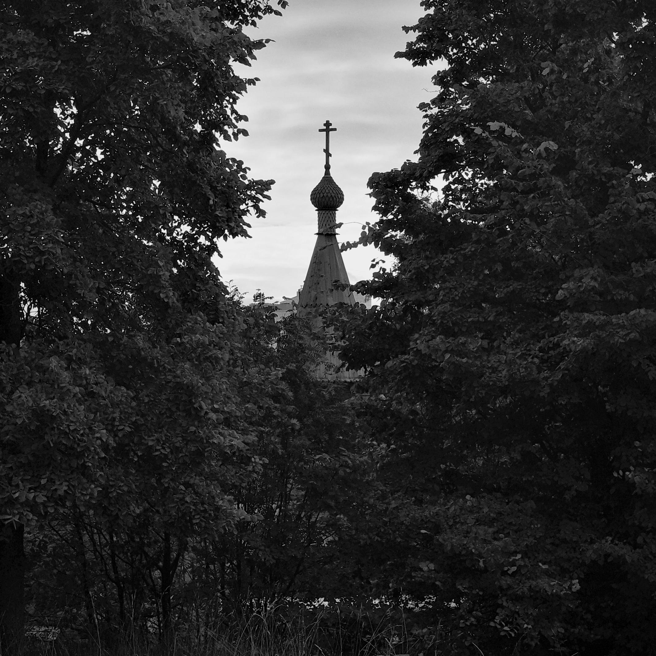This black-and-white film photograph captures the top of an Orthodox church hidden in a dense forest thicket. The frame is built on the technique of natural framing: the dense, dark foliage of the trees forms an almost closed "window," through which only the silhouette of the church's onion dome with a cross is visible. The dome itself has a characteristic "scaly" texture and is topped with an Orthodox cross. Behind it, a light, cloudy sky is visible. The foreground is filled with dark branches and grass. The image conveys an atmosphere of solitude, silence, and spiritual concentration, where nature seems to protect and hide the shrine from prying eyes.