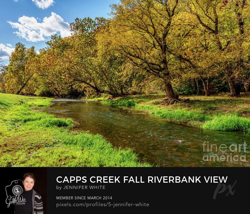 A peaceful Ozarks creek scene comes to life in autumn as colorful foliage surrounds the flowing waters of Capps Creek near Jolly Mill in Pierce City, Missouri.
https://5-jennifer-white.pixels.com/featured/capps-creek-fall-riverbank-view-jennifer-white.html
@fineartamerica 
#buyintoart #photography #homedecor #countryside