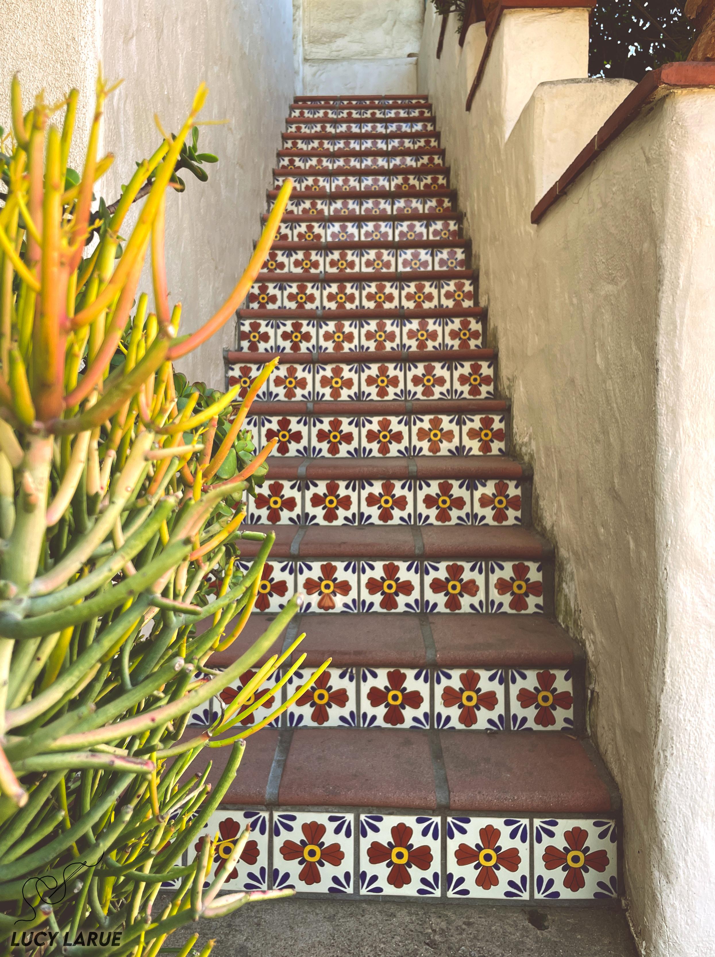 A view up a tiled stairwell, each step bearing a row of white tiles with red four-petaled flowers with yellow centers on them, little dark blue flowers bursting from in each corner. A large orange and green succulent plant that looks like a bunch of straws covers a portion of the foreground on the left.