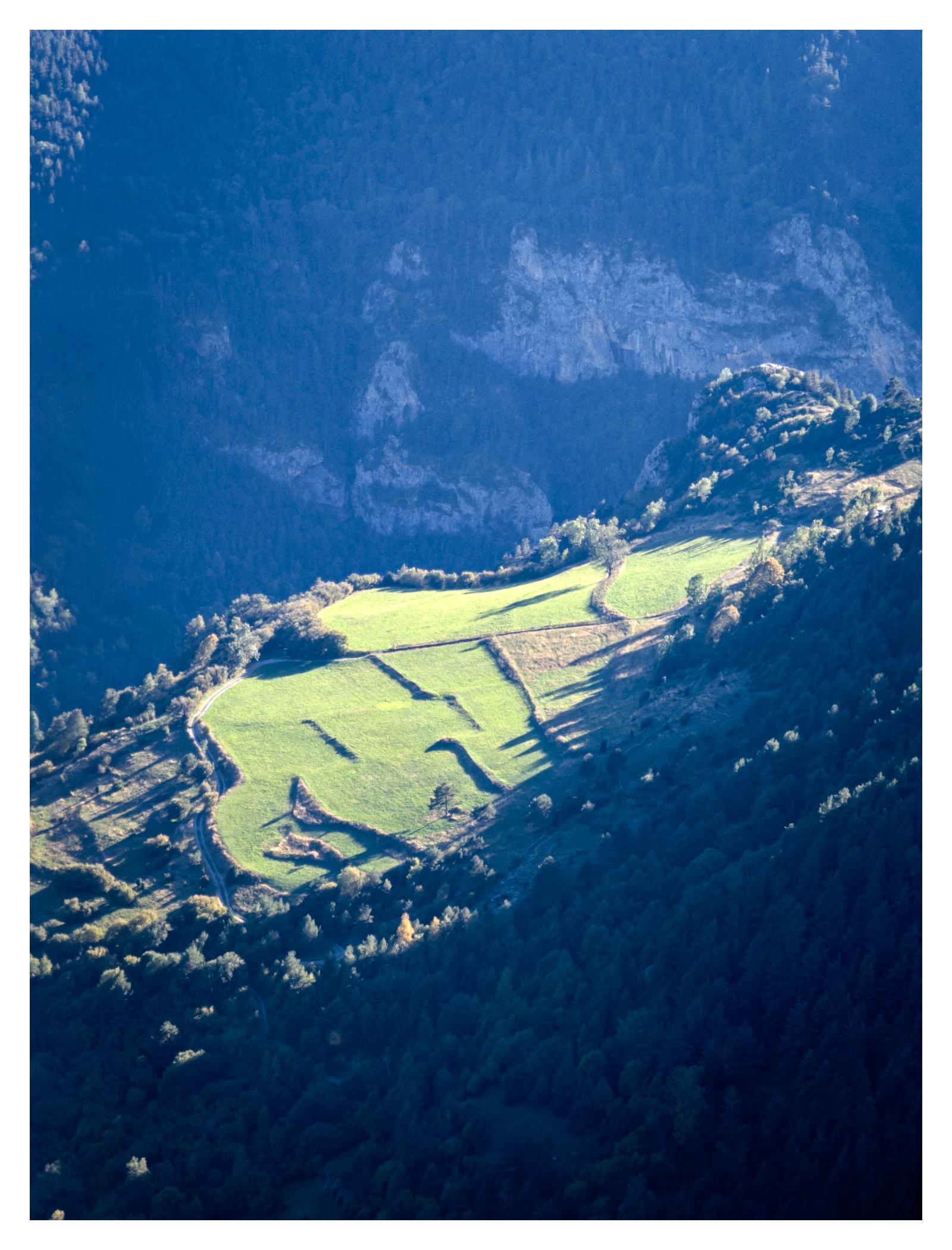 High-angle view of a mountainous landscape. A sunlit, vivid green clearing carved into a steep hillside. The meadow is partitioned into smaller plots separated by hedges or low stone walls. Long shadows stretch across the grass from the terraced borders and isolated trees. The bright spot is surrounded by dense, dark forest. In the backgroud, rugged limestone cliffwalls rise above the trees.