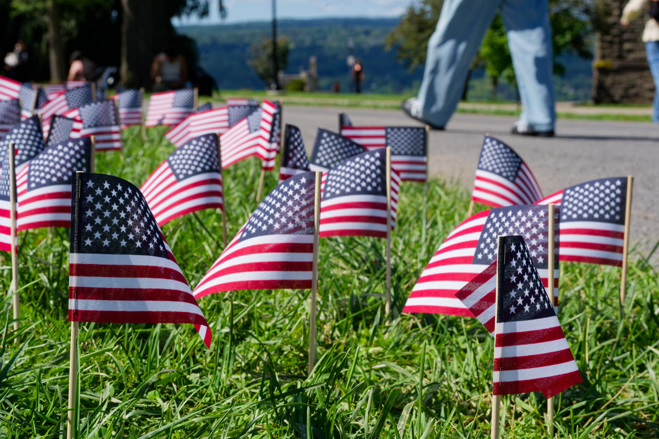 Many tiny American flags stuck into grass besides a path people are walking down
