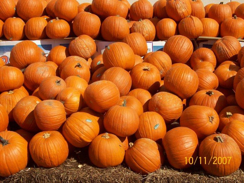Pumpkins from '07-Oklahoma.