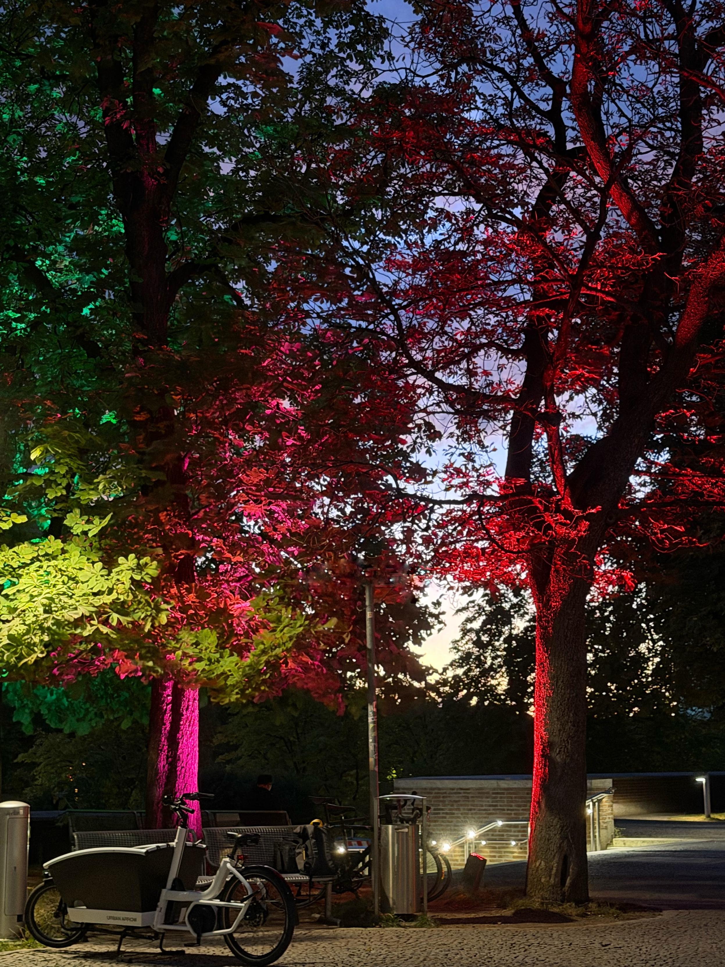 Trees illuminated at night by colored floodlights — green and yellow on the left, magenta and red on the right — against a dusk sky. Cargo bikes are parked on a paved area in the foreground; a lit staircase and railing are visible on the right.