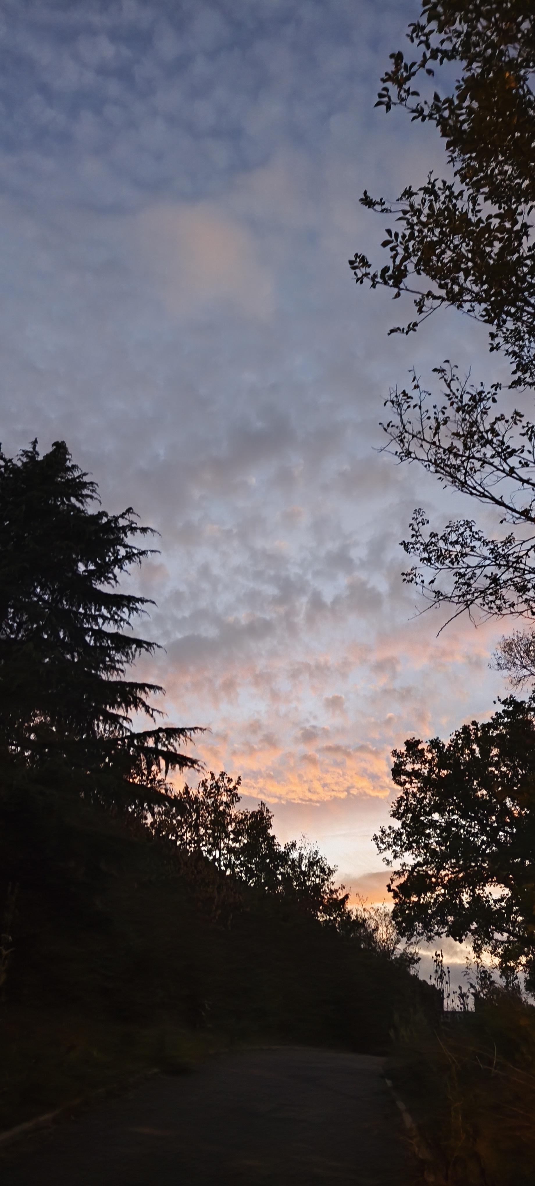 Chemin sombre bordé d’arbres en silhouettes, s’ouvrant sur un ciel du soir bleu-gris parsemé de nuages. À l’horizon, une douce lumière rose et orangée apparaît entre les feuillages.
