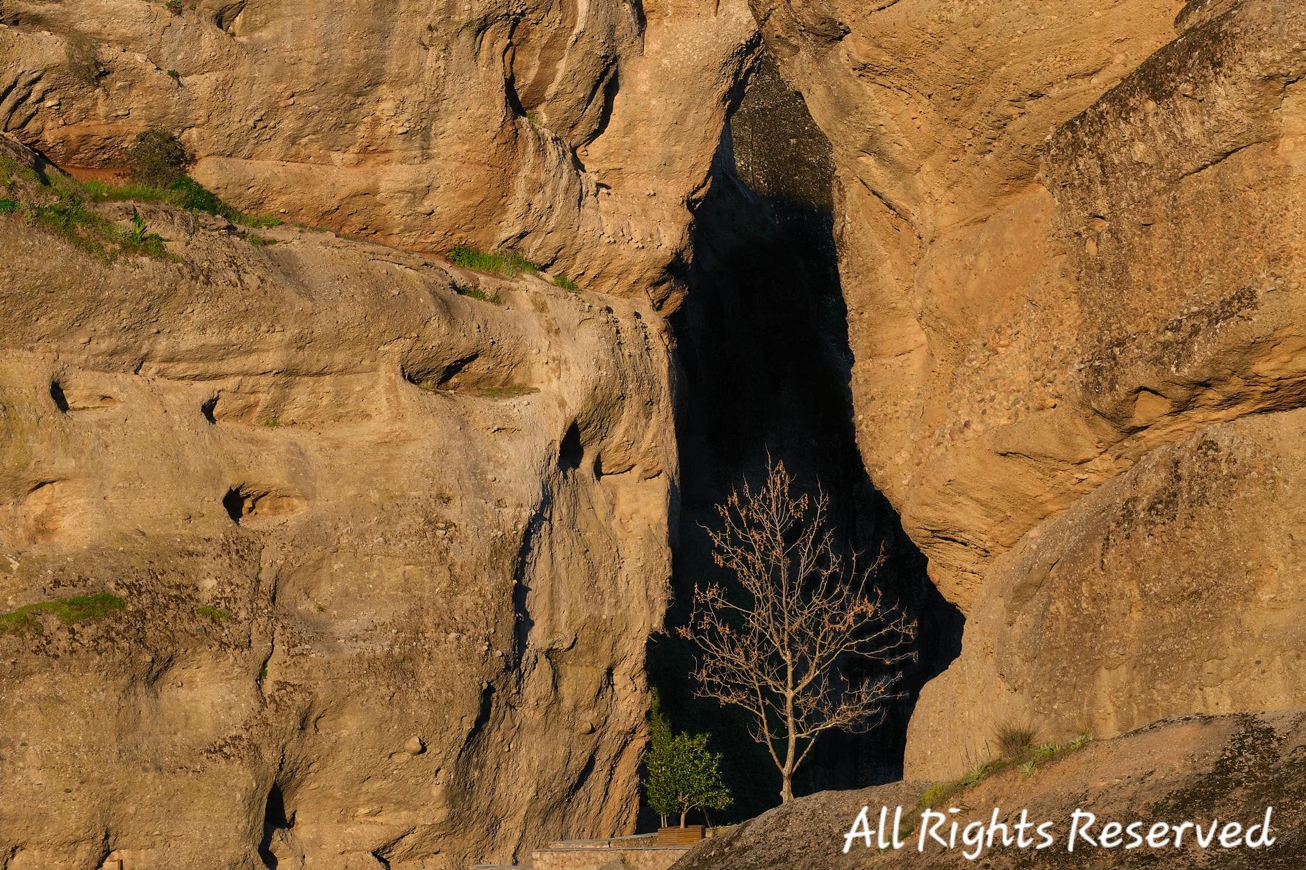 A single tree guards the entrance to a cave at dawn in Greece