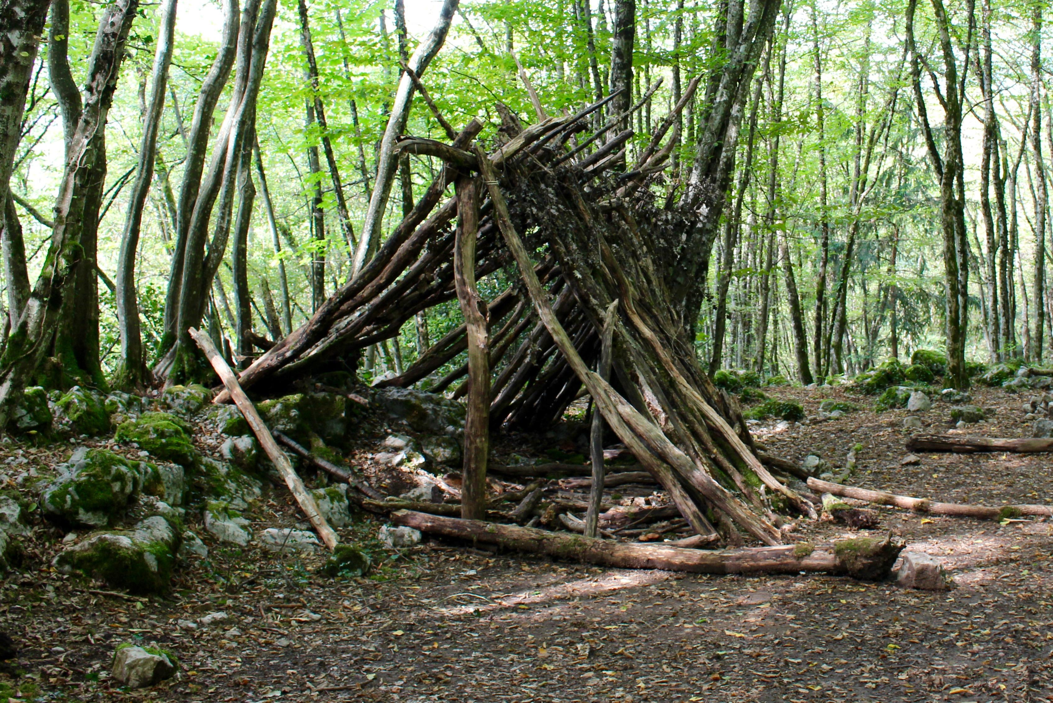 Im lichten Wald ist eine zeltartige Hütte aus toten Holzstämmen aufgebaut.