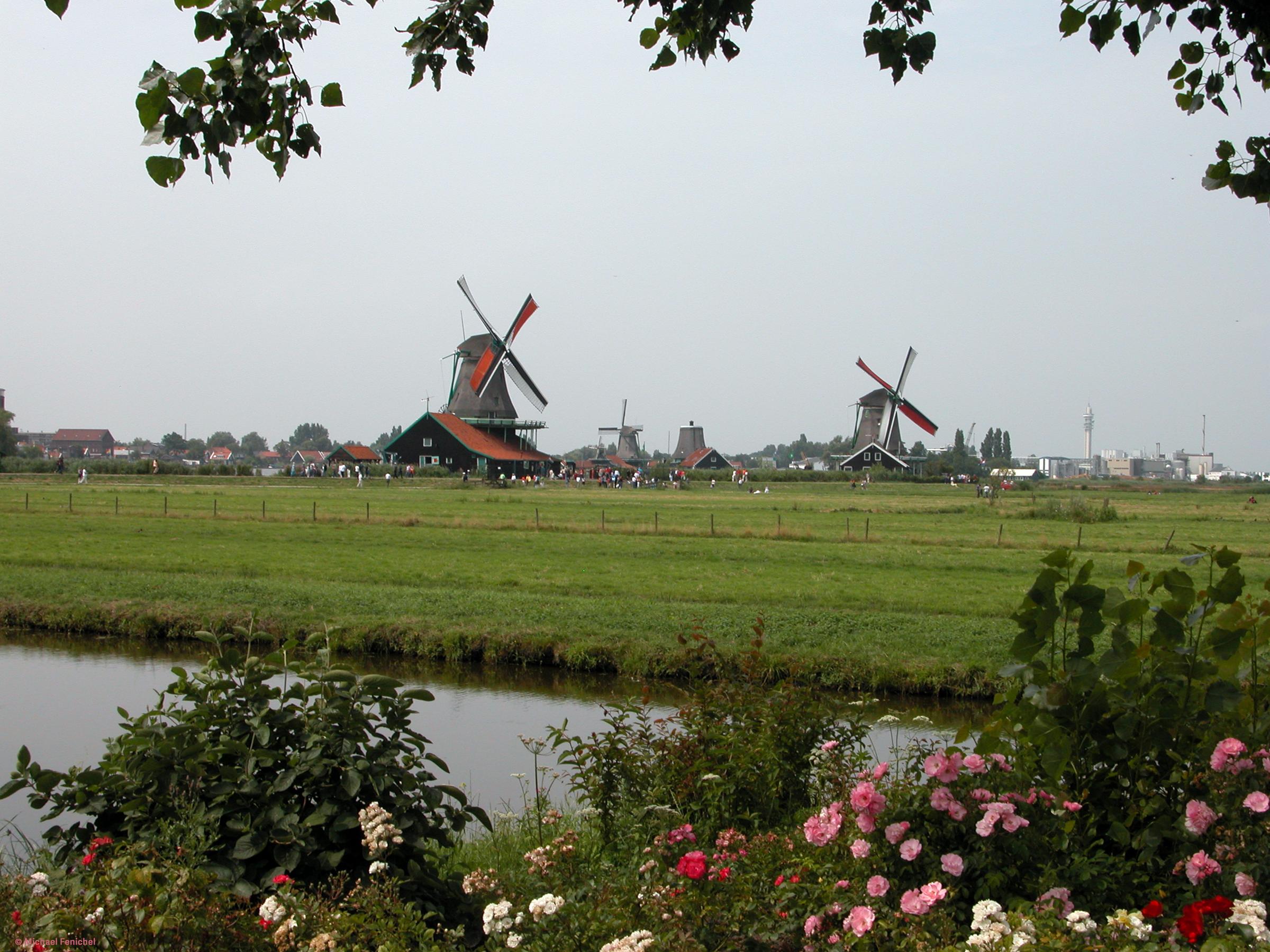 Photo by Fenichel

Looking across a foreground of flowers and a canal, a field of green grass and then (center) several windmills in the fields of Zaanse Schans (NL)