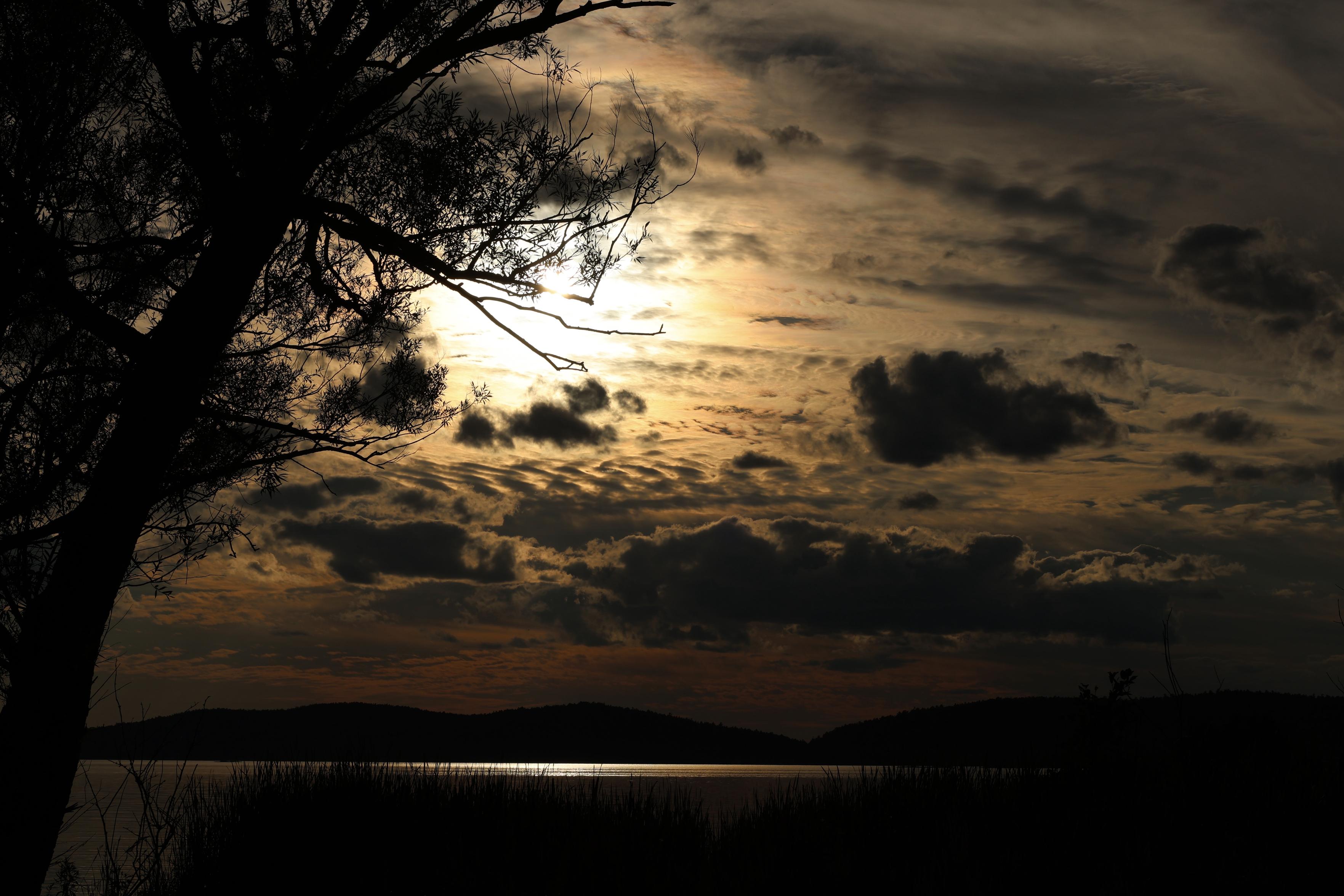This is a landscape format photo taken in the summer of a sunset over a lake. Lower mountains on the opposite shoreline can be seen in the distance. The sun's brightness is reflecting on the waters surface. A tree "frames out" the left hand side of the photo and shoreline vegetation can be seen in the foreground.