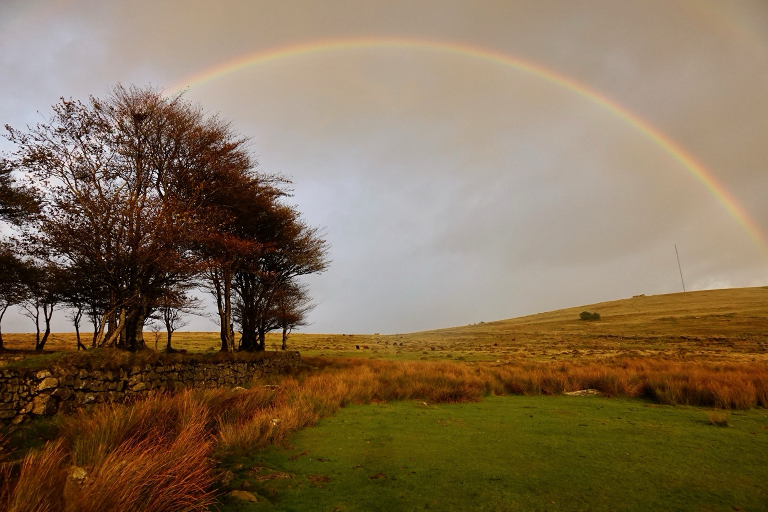 A rainbow spans autumnal moorland.