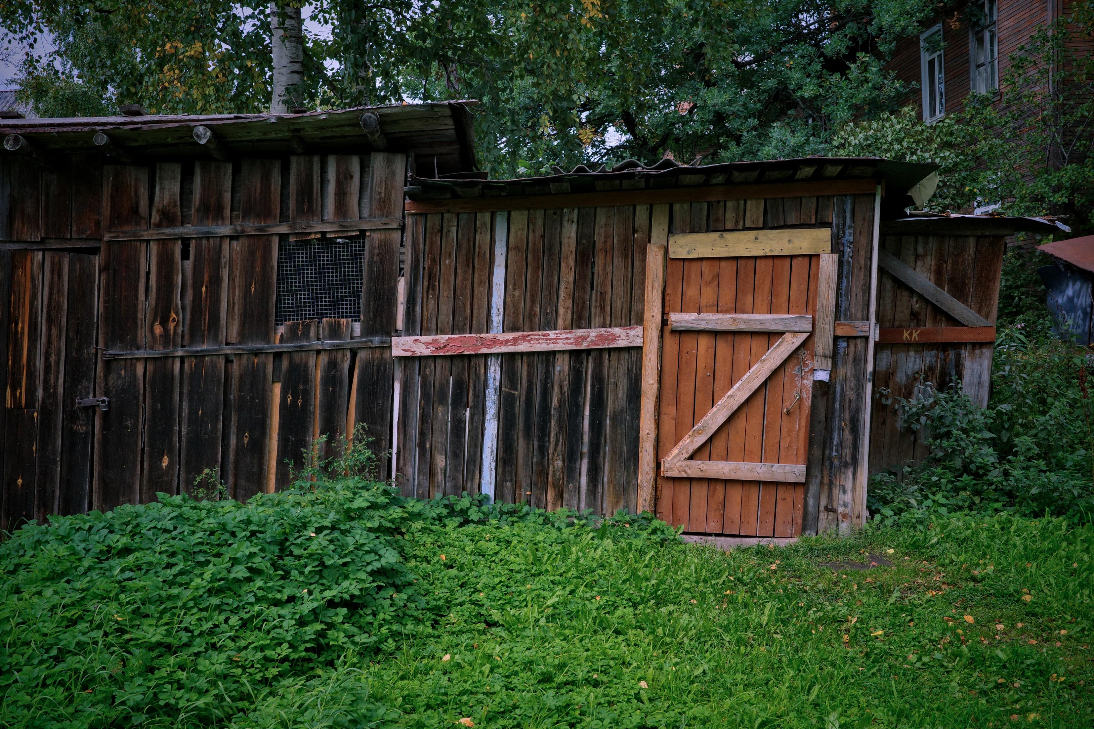 This color photograph captures an old wooden utility building (a shed or chicken coop) in a village yard. The walls are made of dark, faded boards that create a rich, textured surface. In the center of the composition stands out a door clad in lighter, orange-brown boards. Its main detail is a diagonal crossbar, which together with the vertical and horizontal beams forms a clear letter "Z". Nearby, a small mesh inserted into the wall and a rusty red stripe are visible. In the foreground is lush, vibrant greenery that reaches right up to the shed. In the background, trees with leaves beginning to turn yellow and part of a brick house are visible. The image conveys the atmosphere of a quiet, lived-in village yard, where everything is handmade and bears the traces of time.
