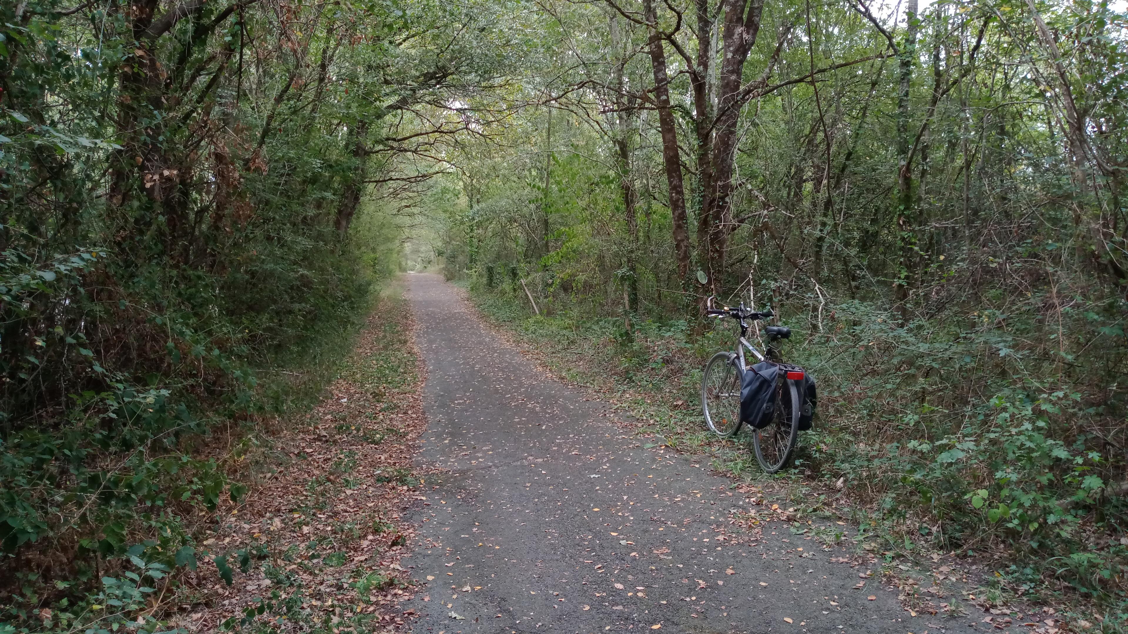 A vélo en pleine nature