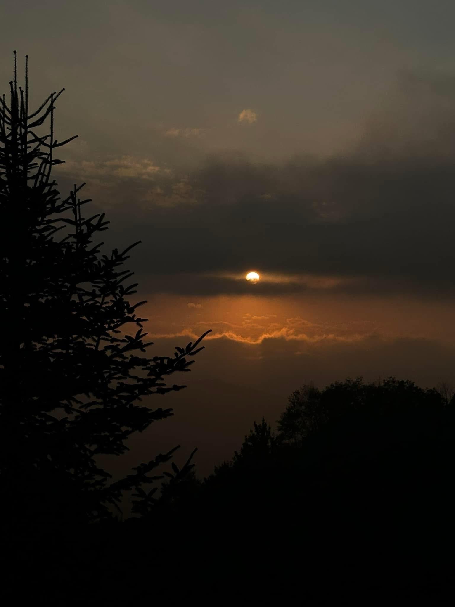 “Silueta de un abeto a la izquierda contra un atardecer nublado. El sol anaranjado asoma por una franja de cielo claro entre densas nubes oscuras. Debajo, se adivina un bosque oscuro en primer plano.“