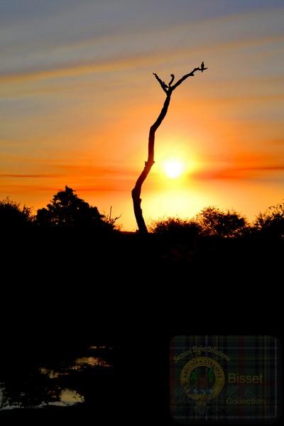 Sunset over Bushveld