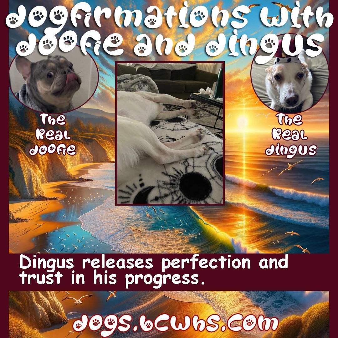 Dogfirmations with Doofie and Dingus: Real: Trust
 
Dingus releases perfection and trust in his progress.
