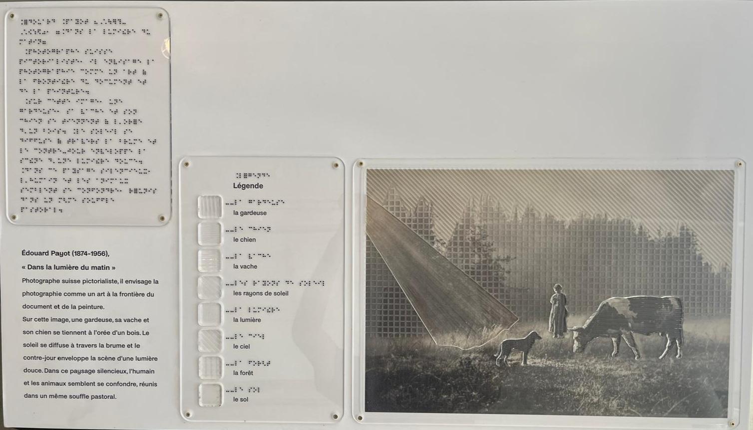 "Dans la lumière du matin" Édouard Payot collection Photo Élysée.