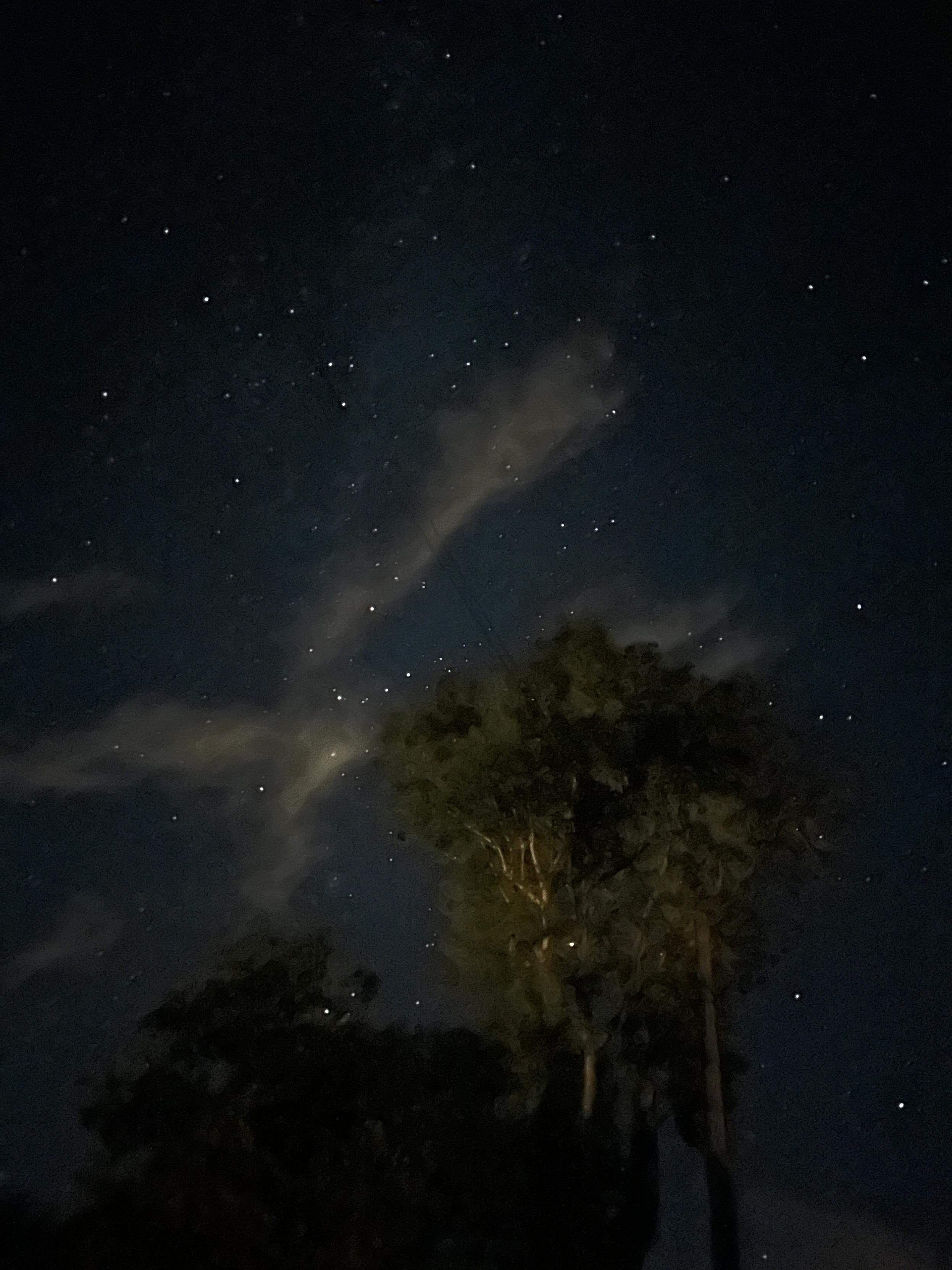 Siento el cielo frio, lejano y envolvente, salpicado de estrellas distantes que brillan entre nubes sedosas. La silueta de unos árboles se recorta contra el vacío esperanzador.