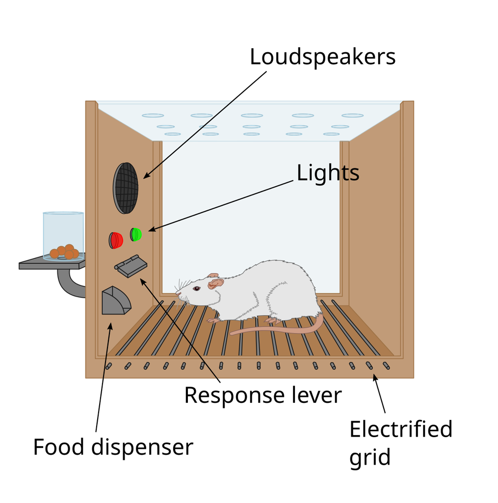 A "Skinner Box" where a rat is trained to push a button when a green light illuminates to get rewarded with a snack. The floor can be electrified to reinforce the desired behavior.