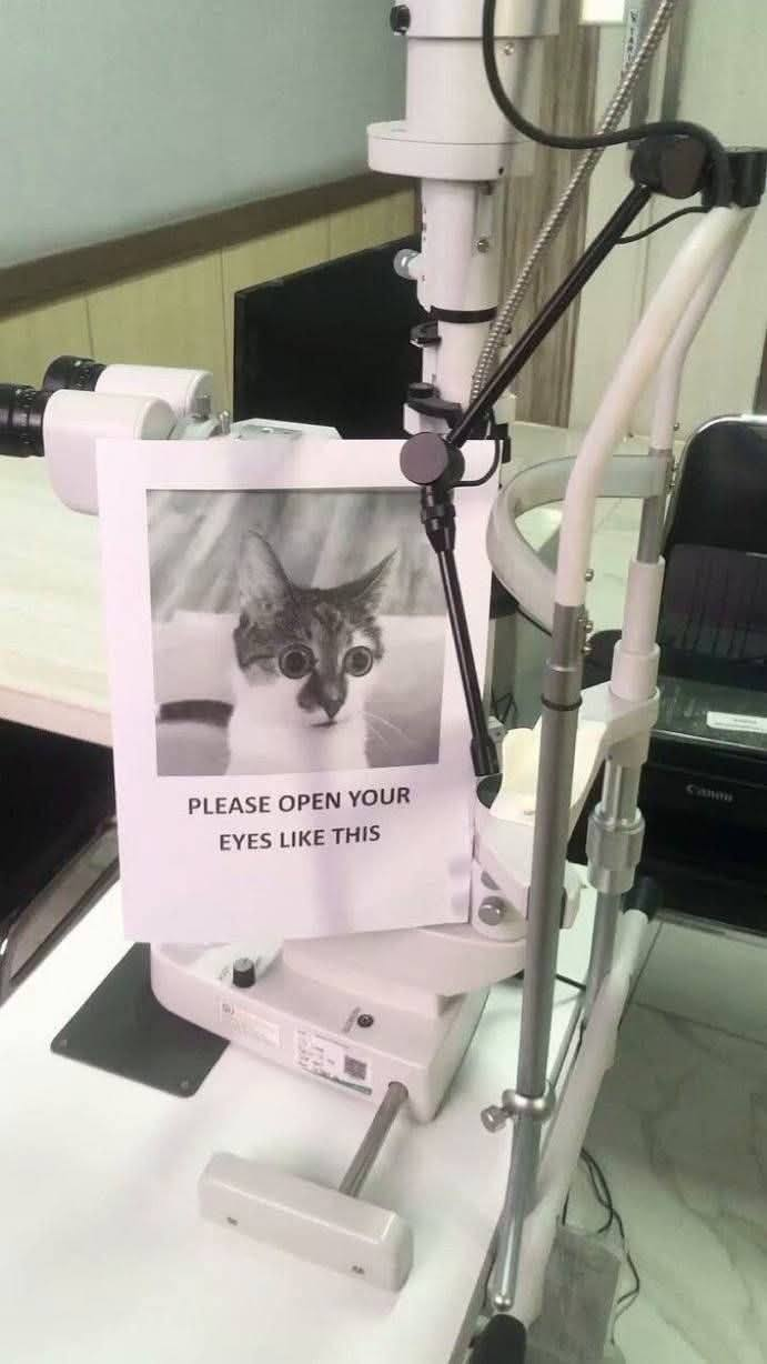 imagen de un aparato oftalmológico para revisar la tensión ocular en el que hay colocado una imagen de un gatete con los ojos muy abiertos y debajo de la imagen una leyenda que dice 

PLEASE OPEN YOUR EYES LIKE THIS