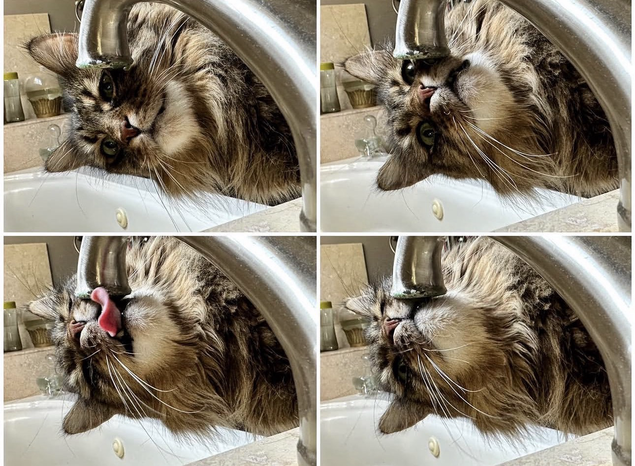 DIFFERENT SHADES OF THIRST