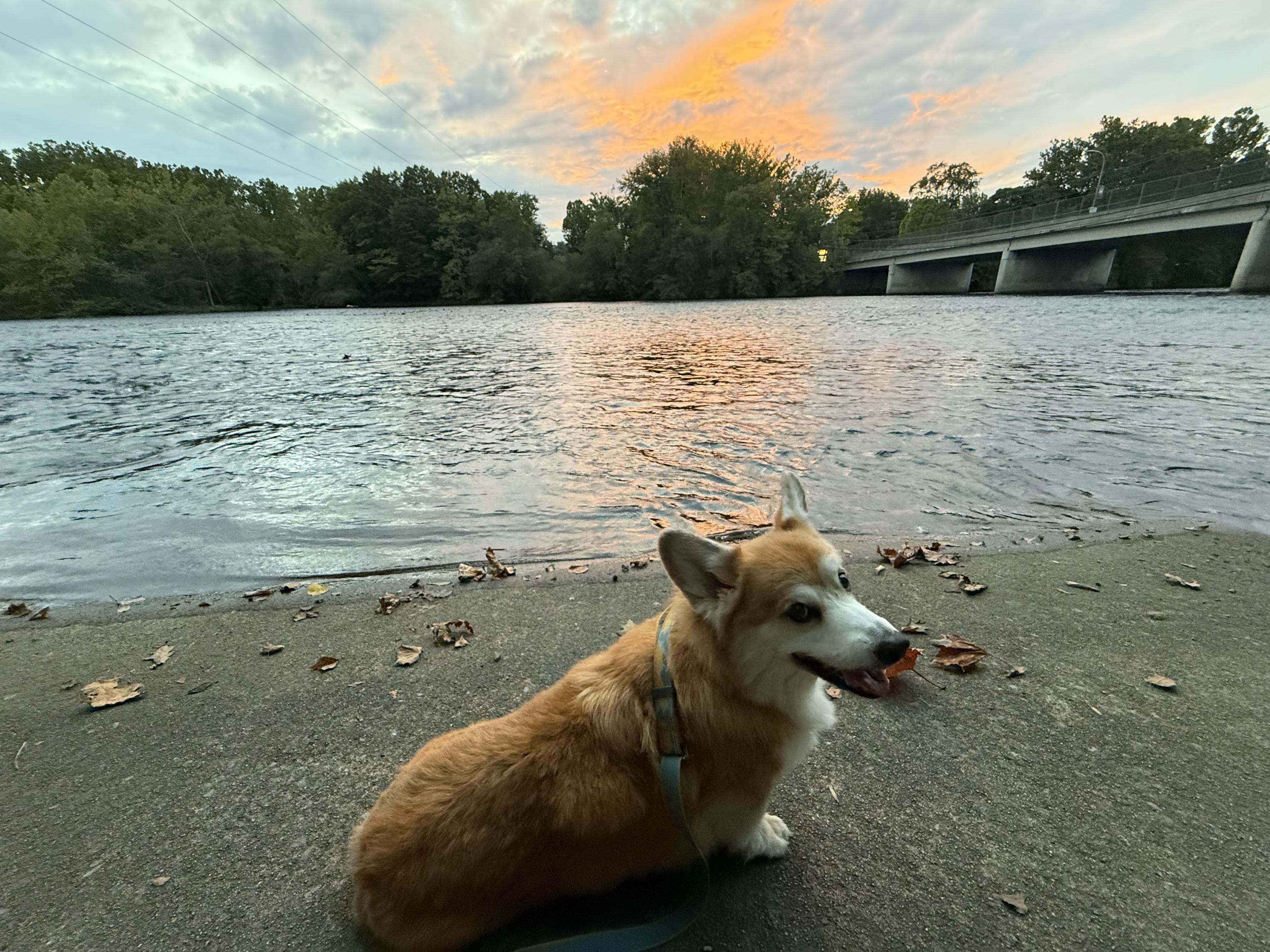 Sunset boy