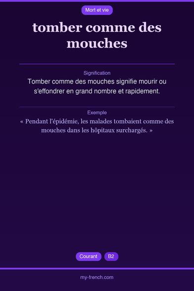 🇫🇷 tomber comme des mouchesTomber comme des mouches signi...