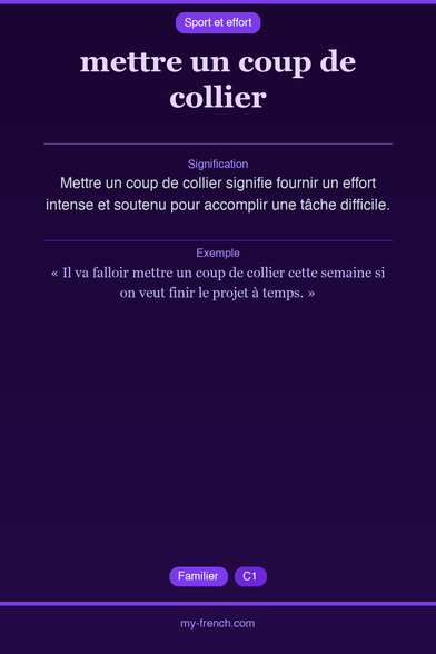 🇫🇷 mettre un coup de collierMettre un coup de collier sig...