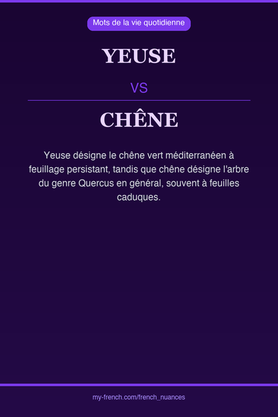 🇫🇷 yeuse vs chêneYeuse désigne le chêne vert méditerranée...
