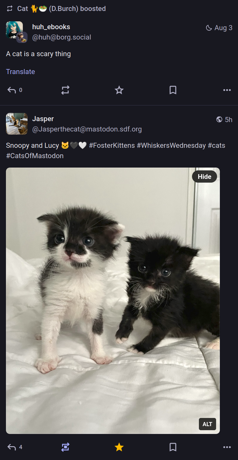 I just had to take this screenshot of my timeline.