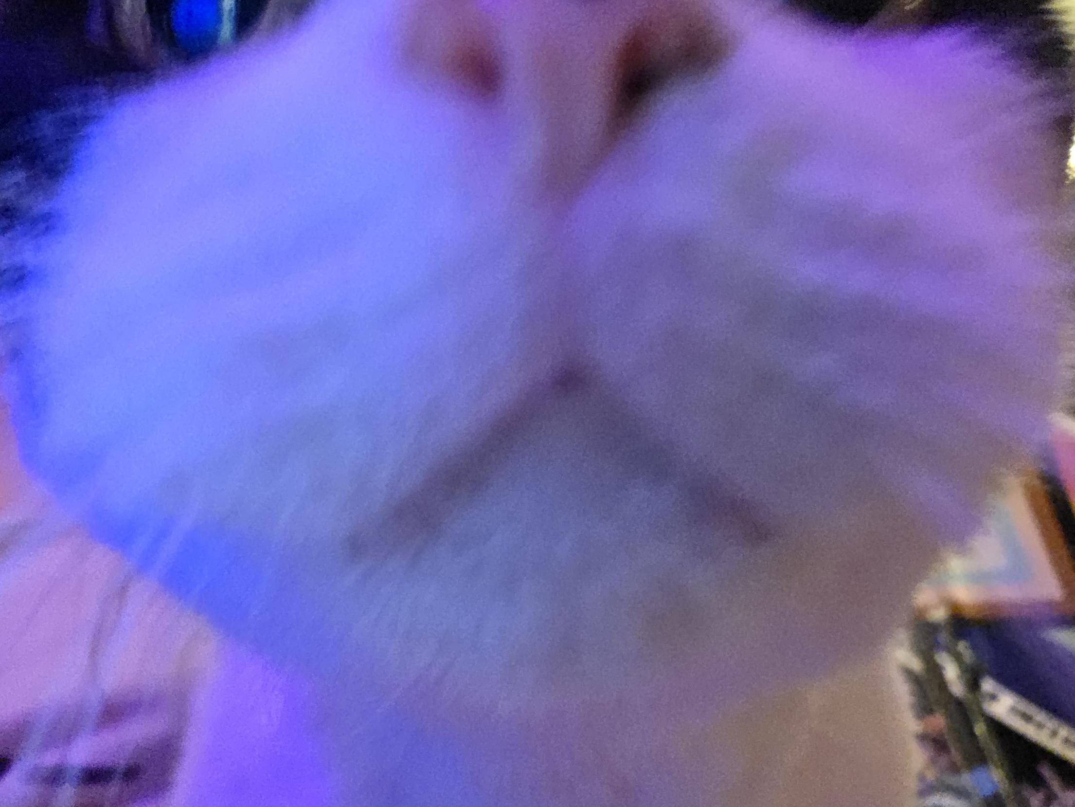 Someone was curious