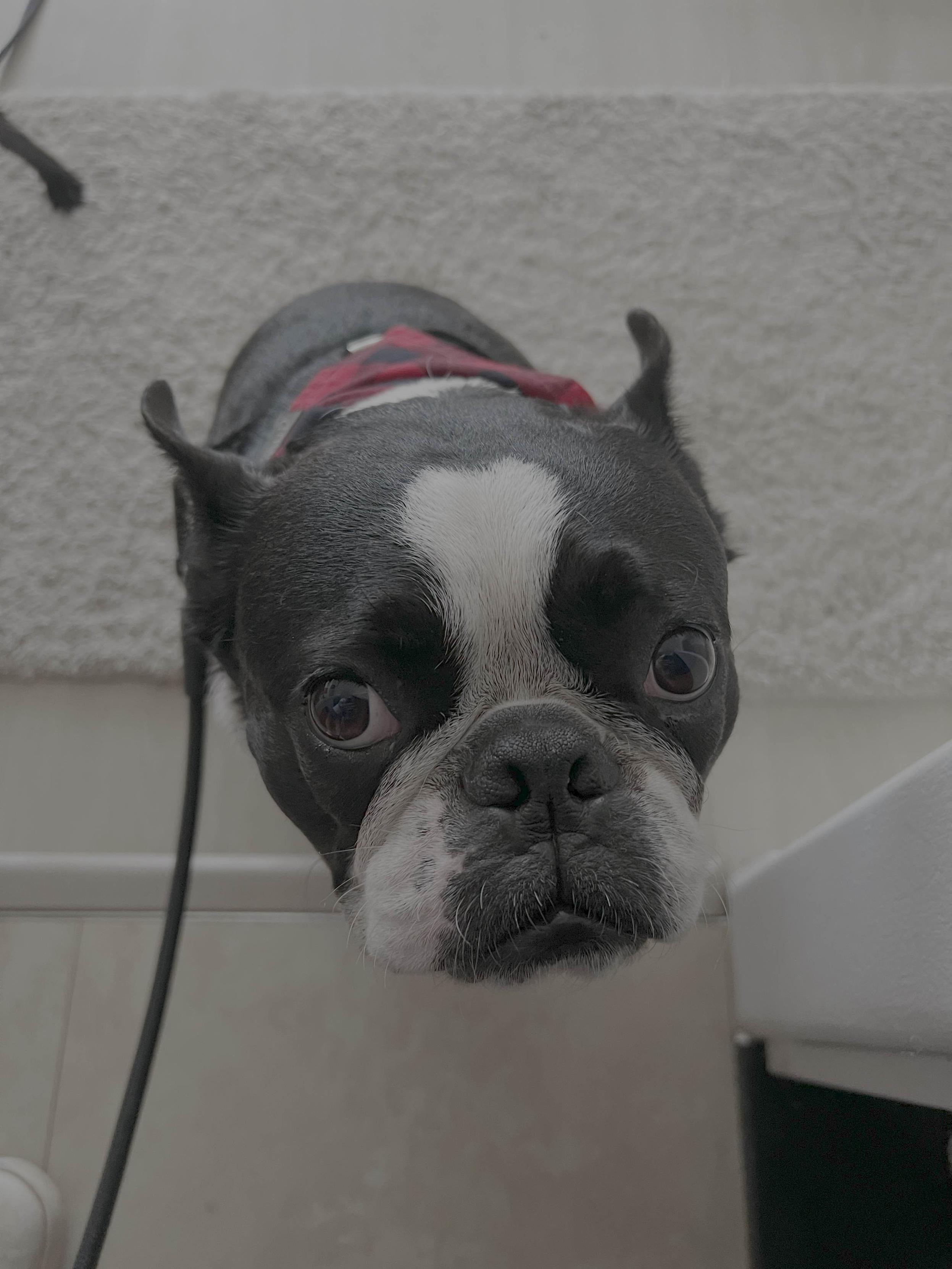 Please, can we go now? I have been holding it forever!