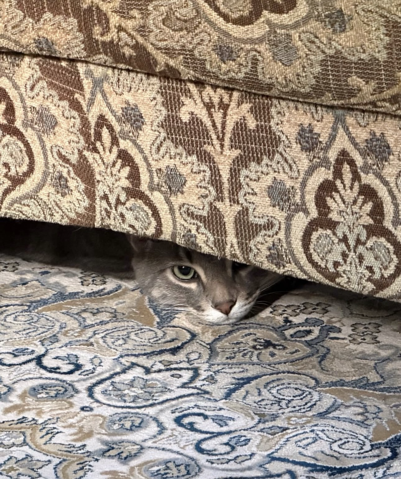 HIDE AND SEEK!