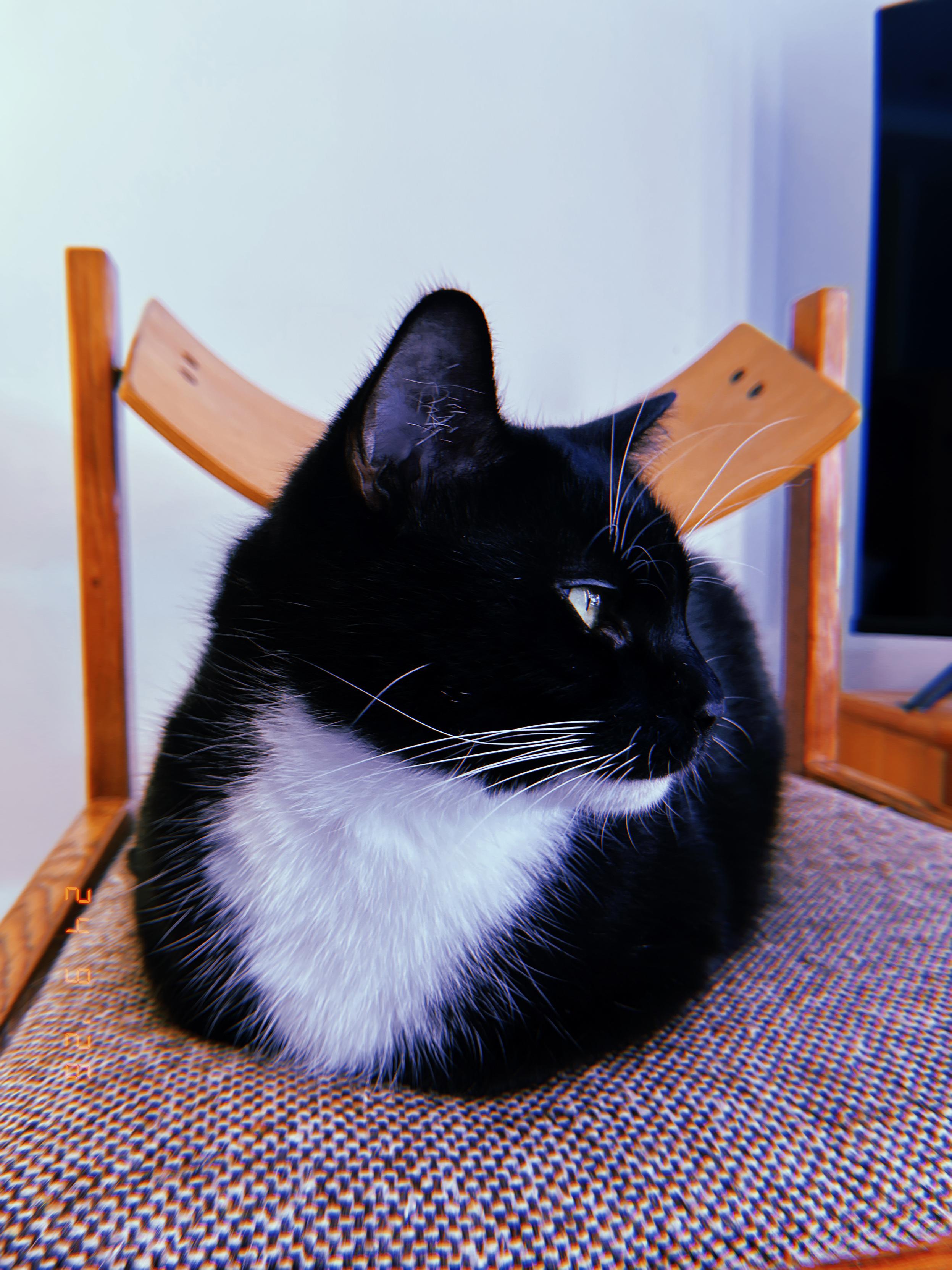 Current loaf levels are at 95% (poke )