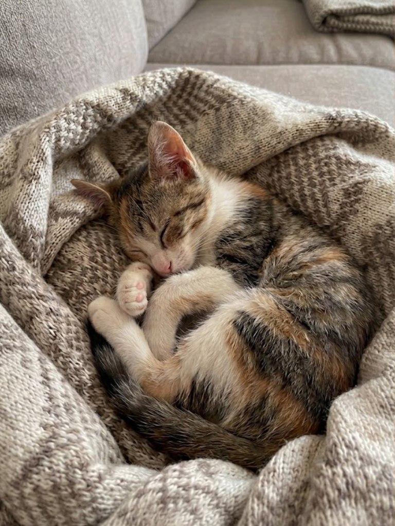 Fully recharged in the coziest way possible 💤 blanket burrito mode activated.