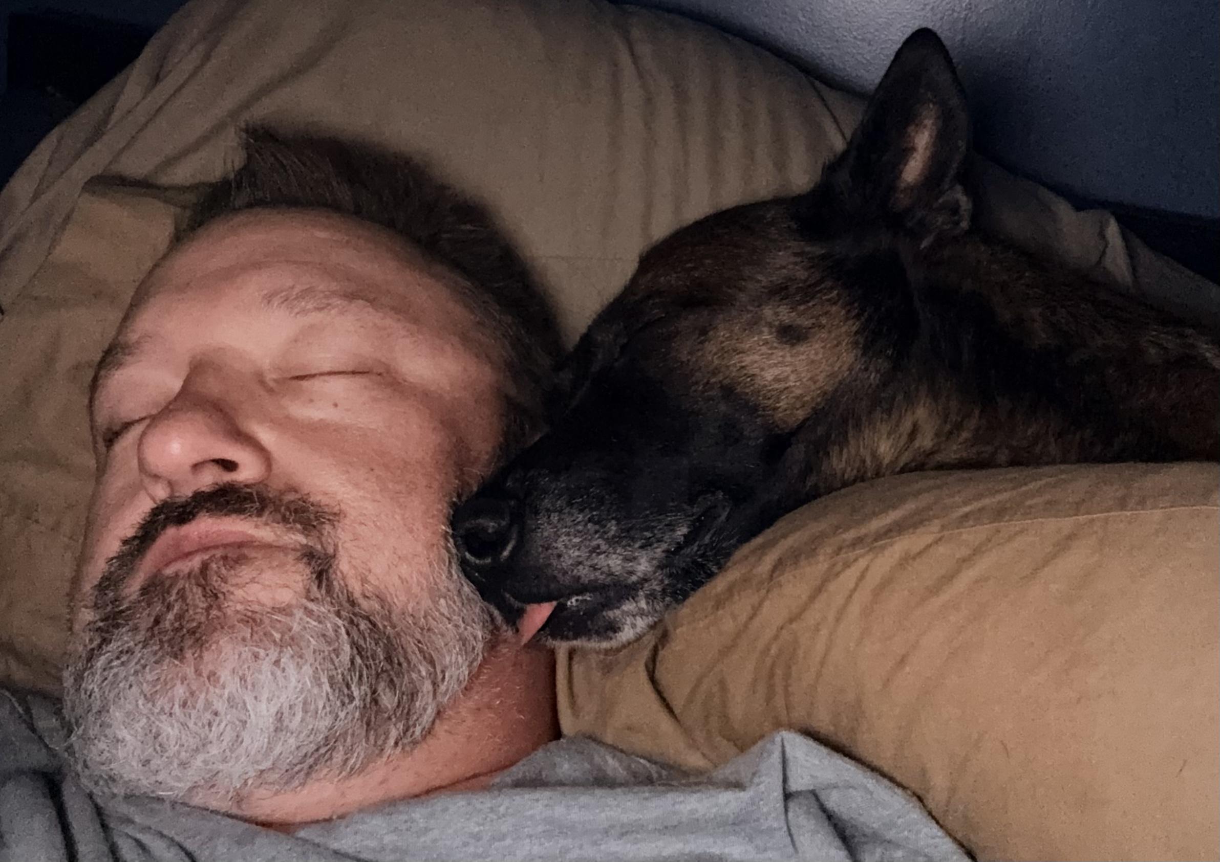 Home from vacation. Picked the dogs up from the kennel. Apparently they spent the whole time waiting for us to return so they could resume their regularly sche…