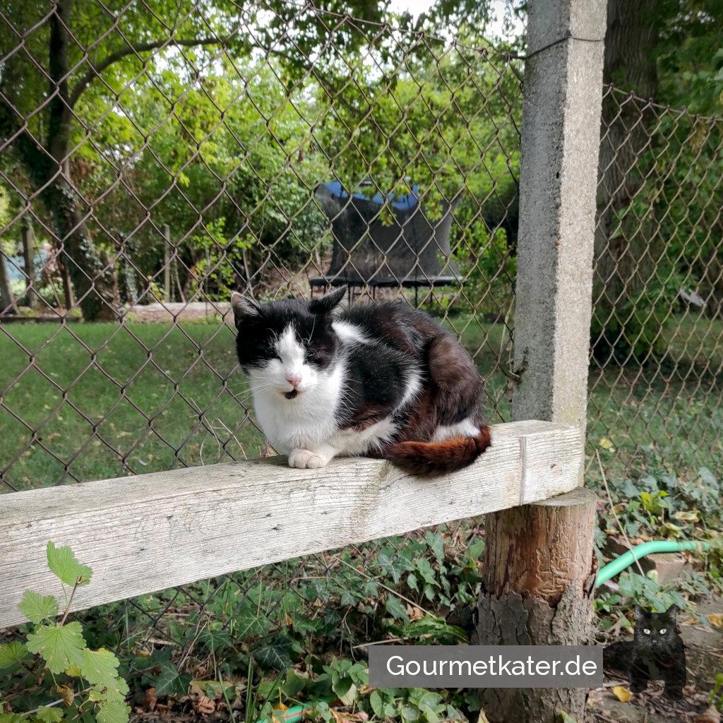 Wochenende!