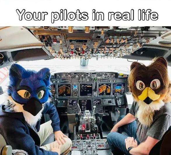 A meme with the caption "Your pilots in real life" with two furries in the cockpit of a plane in the picture