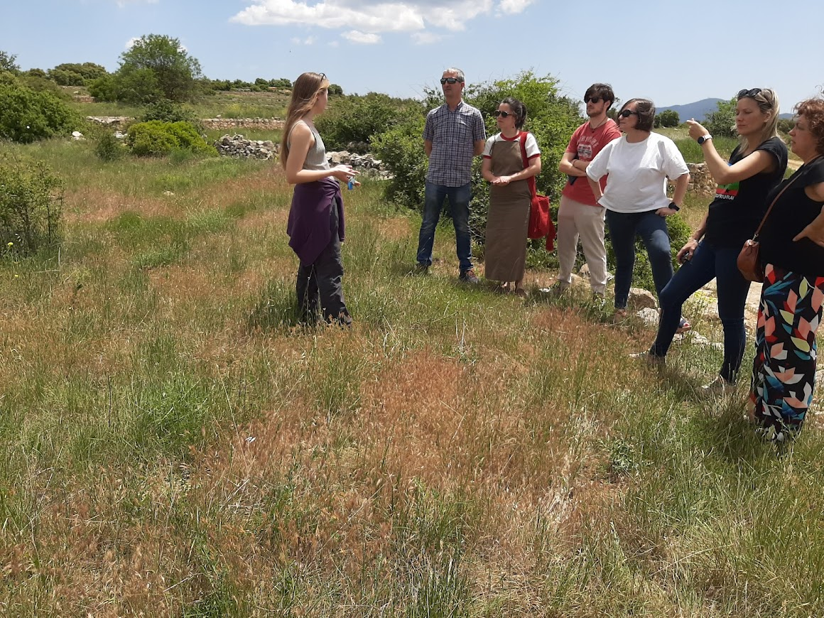 Imagen de una de las actividades donde se ve a una persona explicando a un grupo de 6 personas cuestiones relacionadas con las especies vegetales alrededor de la masía de Mas Blanco.