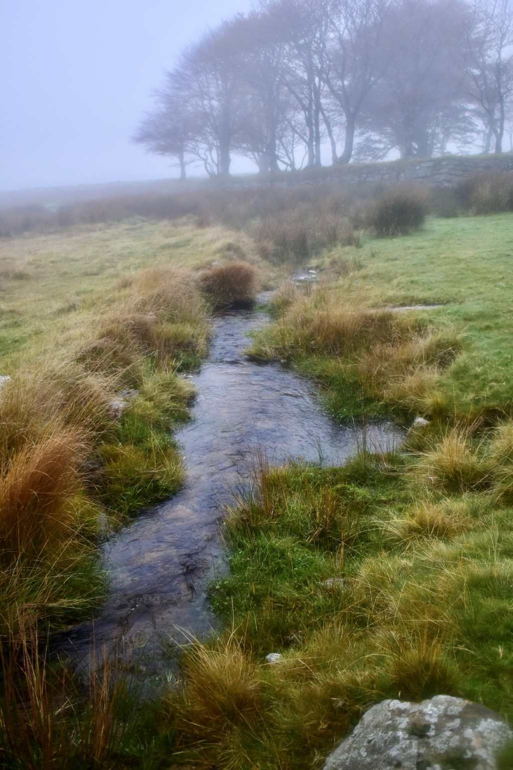 Misty photo of a leat or stream on moorland, trees are visible in the. Background