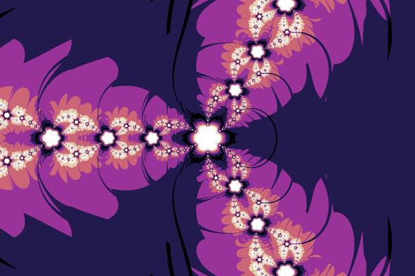 newton fractal