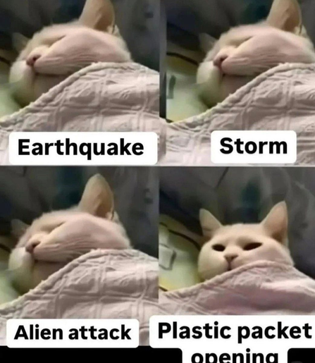 Posted media