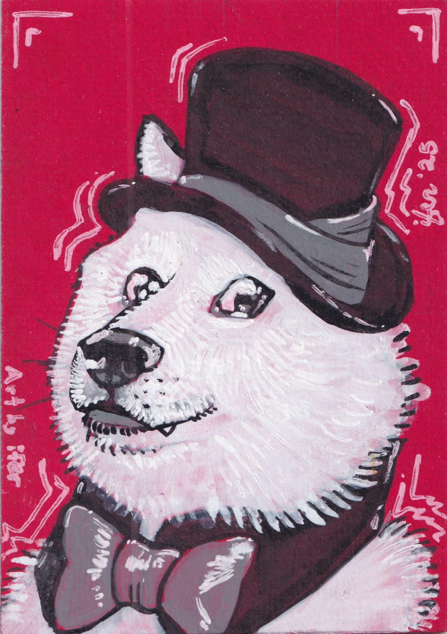 Dapper Doge