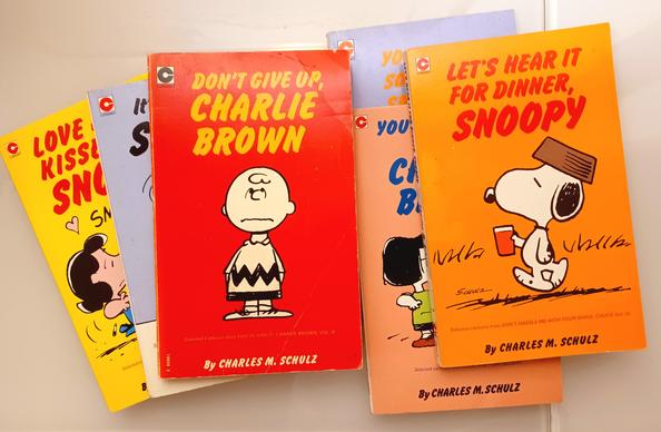 I'm sitting in bed reading Charlie Brown Coronet paperbacks like it's 1978.
#peanuts