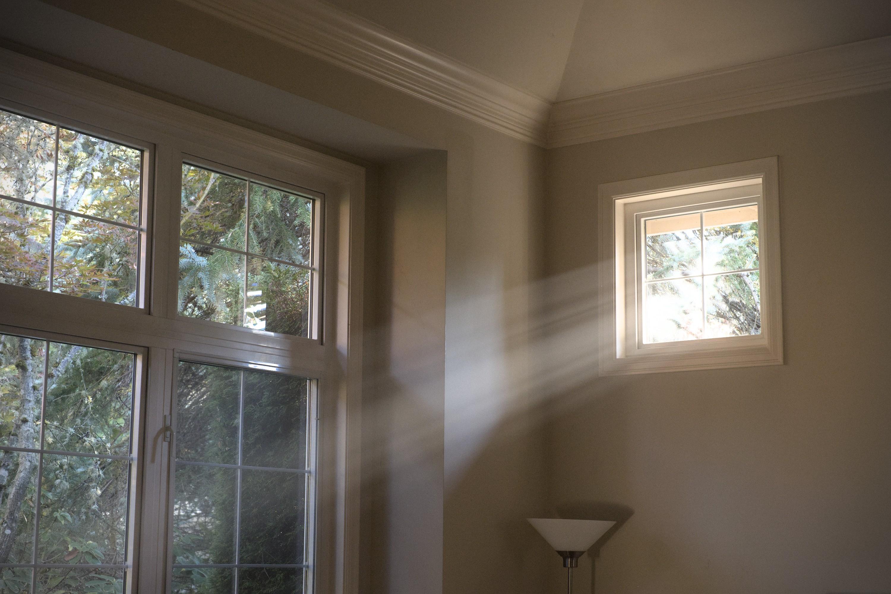 Setting sun shining through greenery outside a window into a dim room, forming clear shining rays of light pattern in the air.