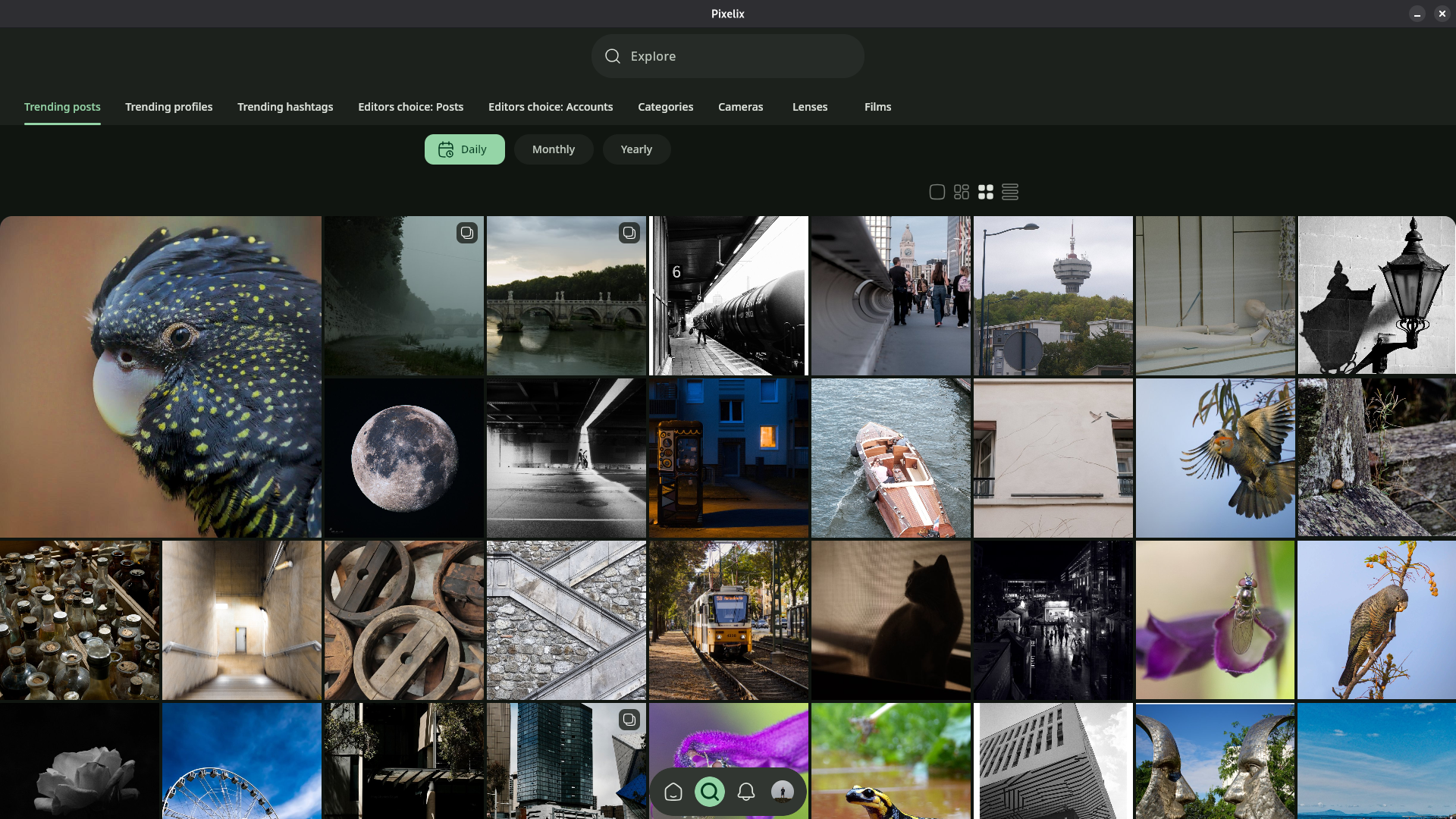Explore page on Trending posts page. Date range: daily. Grid of square images is taking most of the screenshot.