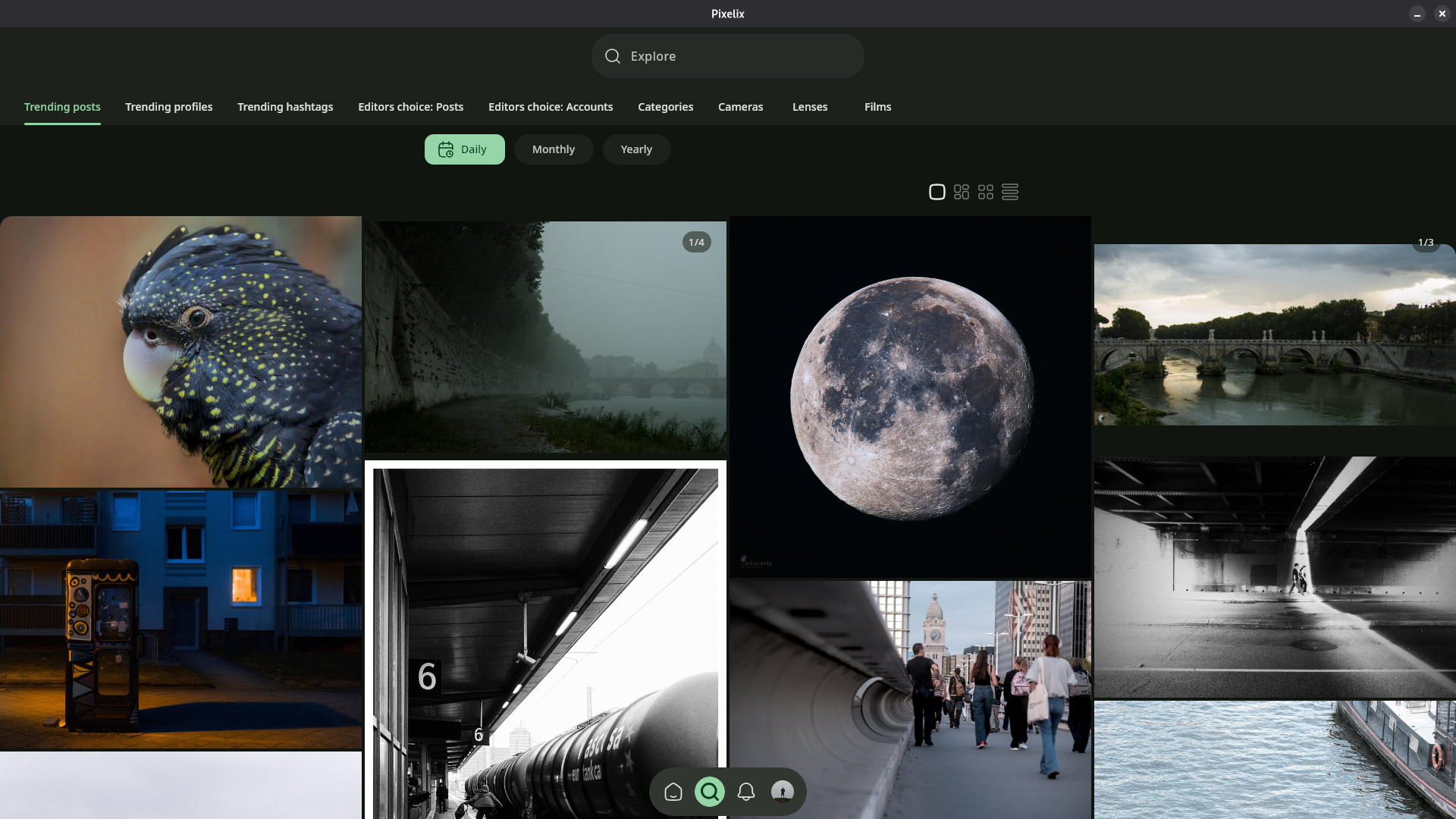 Explore page on Trending posts page. Date range: daily. Masonry grid of large images is taking most of the screenshot.