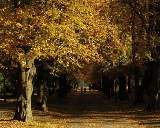 Autumn in Finland is like looking at a beautiful painting, mwah chef’s