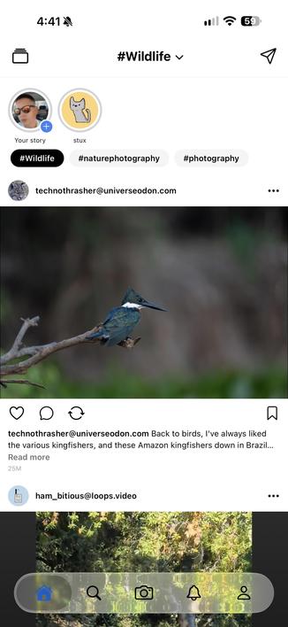 Posted media