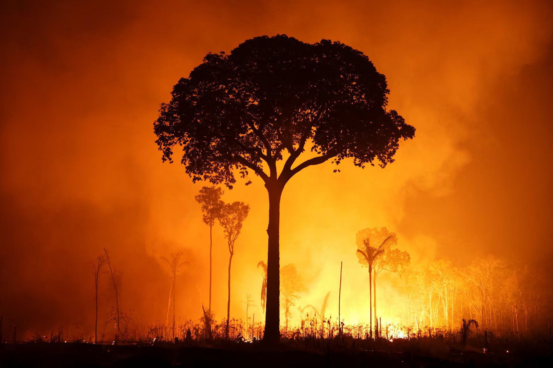 A deforested area of the Amazon rainforest burns.