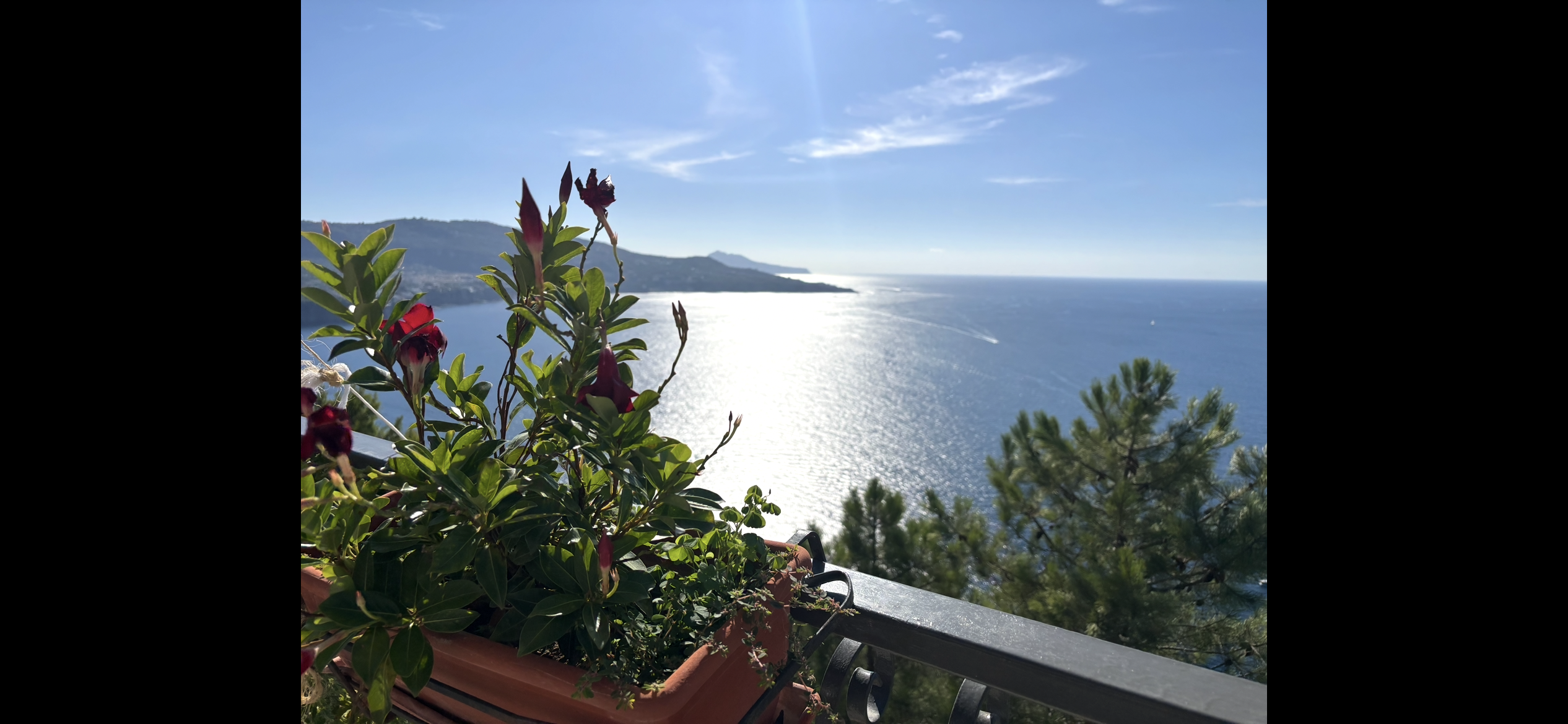 With red flowers in left foreground the sun glistens on the sea south of Sorrento.