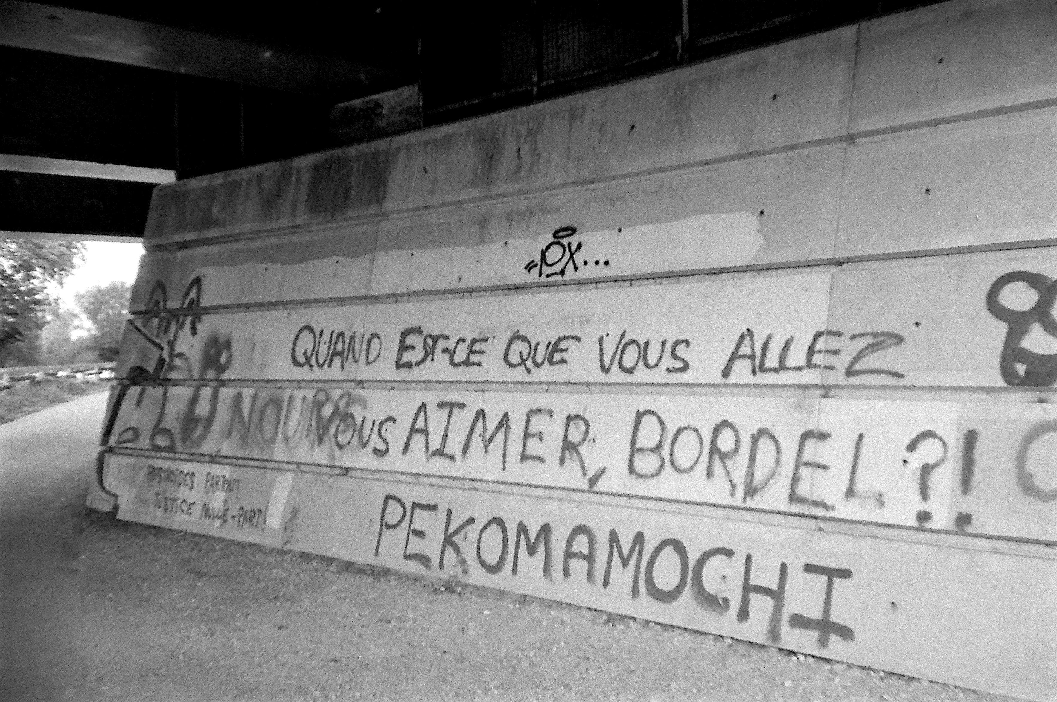 un inscription sur un mur, sous un pont "quand est ce que vous allez vous aimer, bordel?!"